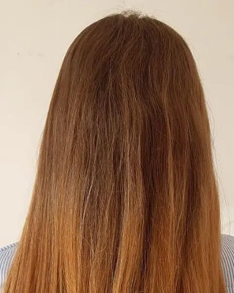 Antes: pelo largo y liso de color cobrizo, visto de espaldas